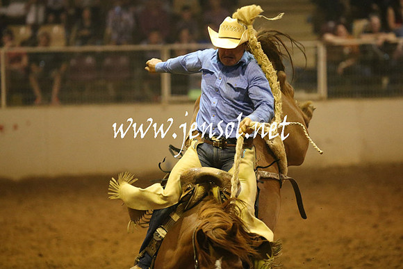 RealDealRodeoNov2013_0879