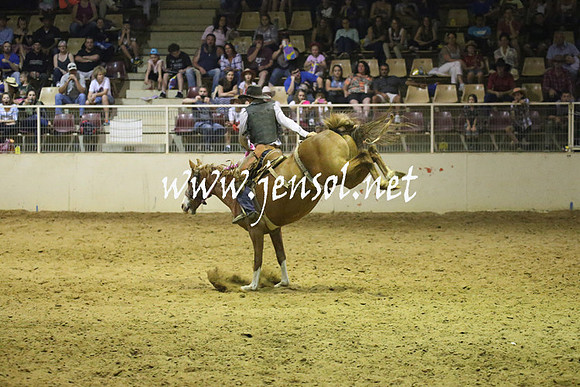 RealDealRodeoNov2013_1564