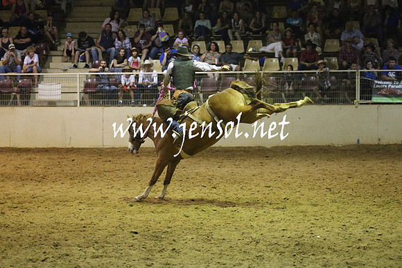 RealDealRodeoNov2013_1563