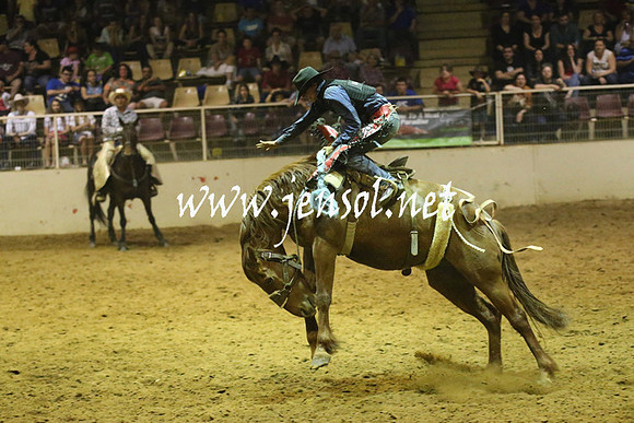 RealDealRodeoNov2013_1634