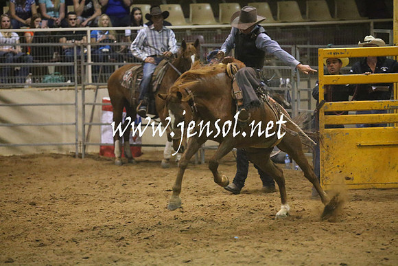 RealDealRodeoNov2013_1664