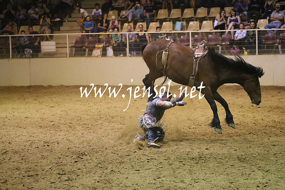 RealDealRodeoNov2013_1847