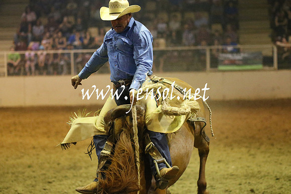 RealDealRodeoNov2013_0887