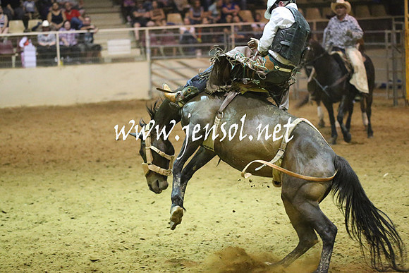 RealDealRodeoNov2013_1866