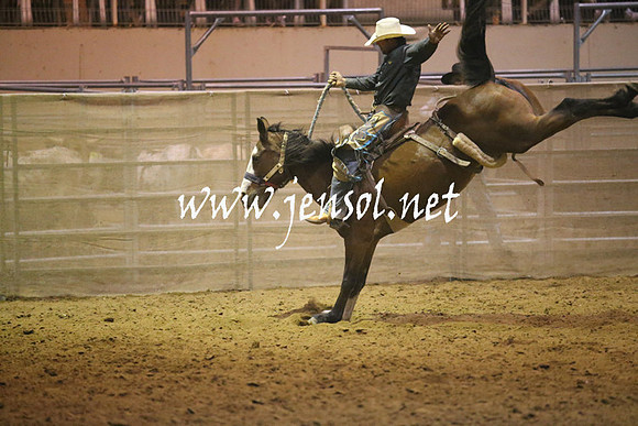 RealDealRodeoNov2013_1740