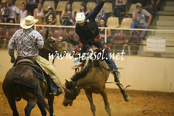 RealDealRodeoNov2013_0857