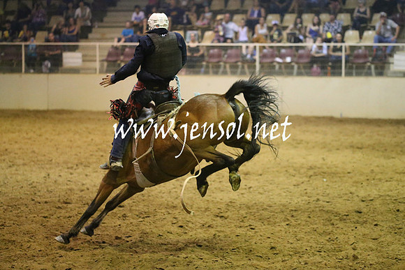 RealDealRodeoNov2013_0856