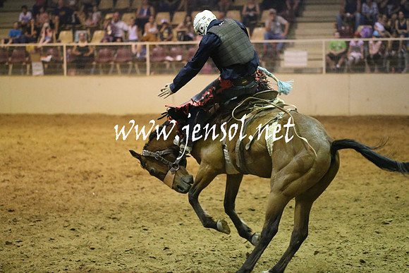 RealDealRodeoNov2013_0852