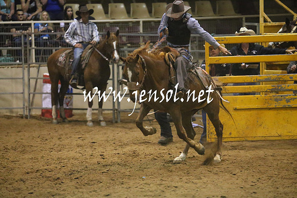RealDealRodeoNov2013_1663