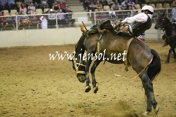 RealDealRodeoNov2013_1867