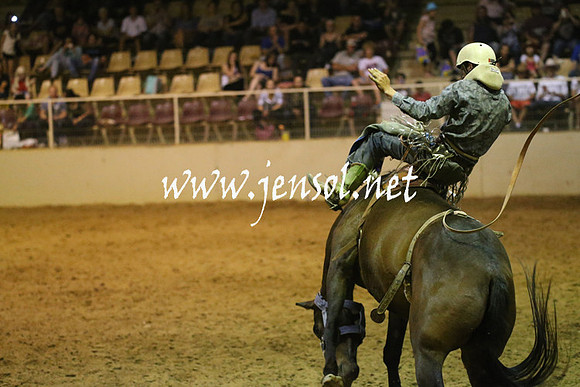 RealDealRodeoNov2013_1773