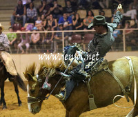RealDealRodeoNov2013_0807