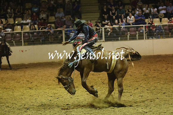 RealDealRodeoNov2013_1633
