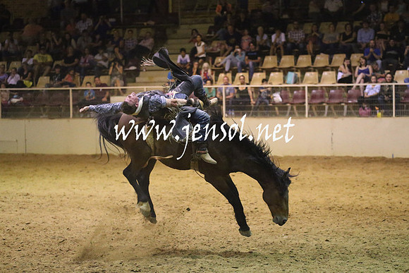 RealDealRodeoNov2013_1822