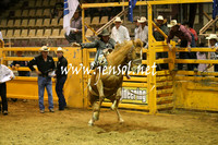 RealDealRodeoNov2013_0792