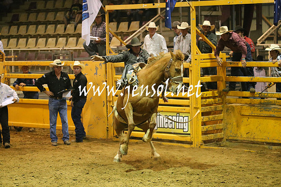 RealDealRodeoNov2013_0792