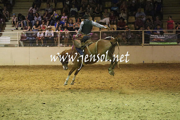 RealDealRodeoNov2013_1562