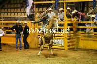 RealDealRodeoNov2013_0791