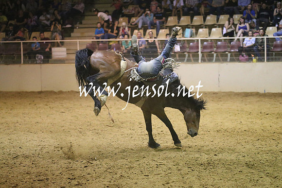 RealDealRodeoNov2013_1841