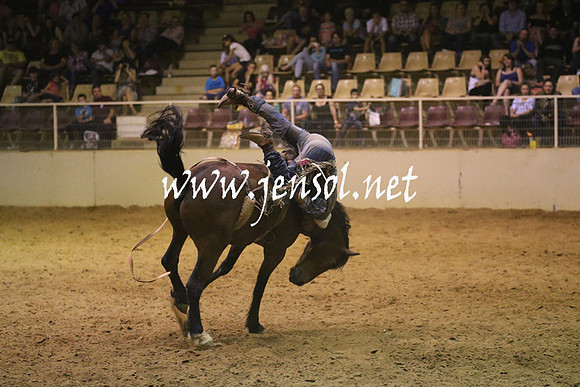 RealDealRodeoNov2013_1837