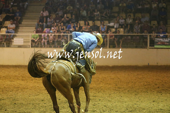 RealDealRodeoNov2013_0895