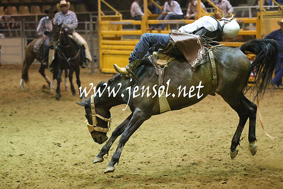 RealDealRodeoNov2013_1862