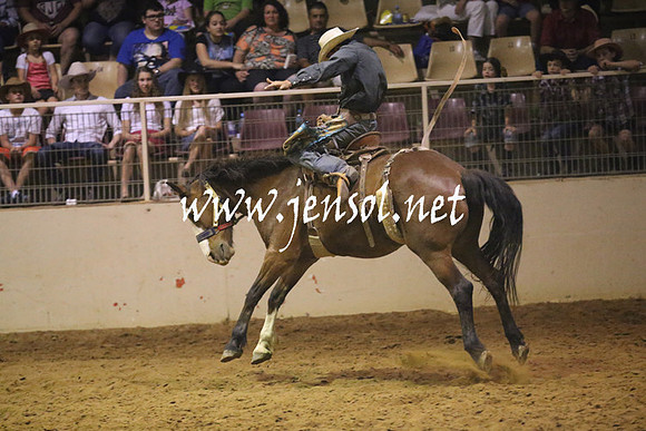 RealDealRodeoNov2013_1719