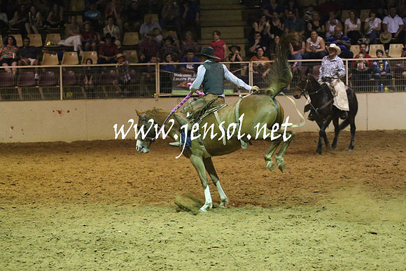 RealDealRodeoNov2013_1558