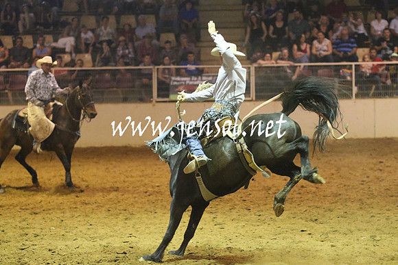 RealDealRodeoNov2013_0829