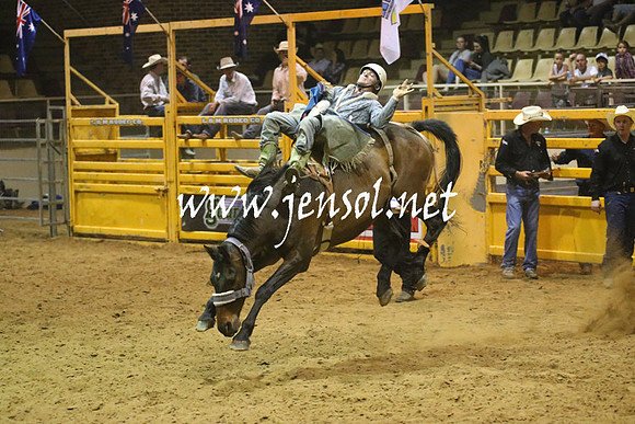 RealDealRodeoNov2013_1749