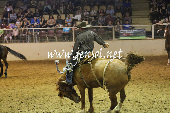 RealDealRodeoNov2013_0805