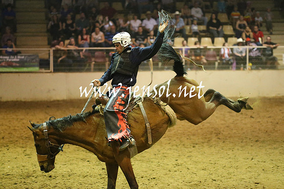 RealDealRodeoNov2013_0848
