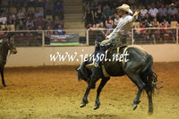 RealDealRodeoNov2013_0827