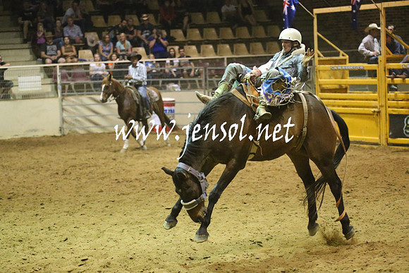 RealDealRodeoNov2013_1754