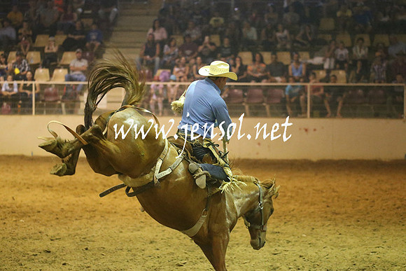 RealDealRodeoNov2013_0893