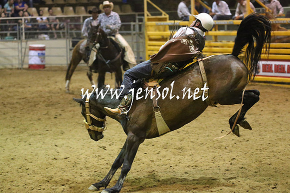 RealDealRodeoNov2013_1863