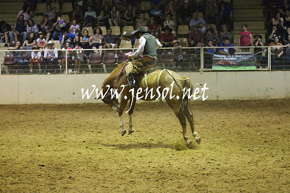 RealDealRodeoNov2013_1561