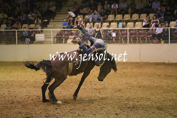 RealDealRodeoNov2013_1838