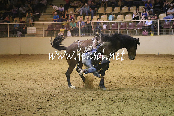 RealDealRodeoNov2013_1844