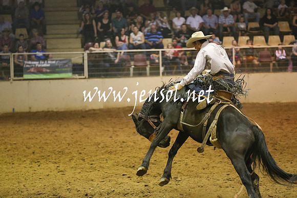 RealDealRodeoNov2013_0825