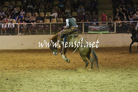 RealDealRodeoNov2013_1560