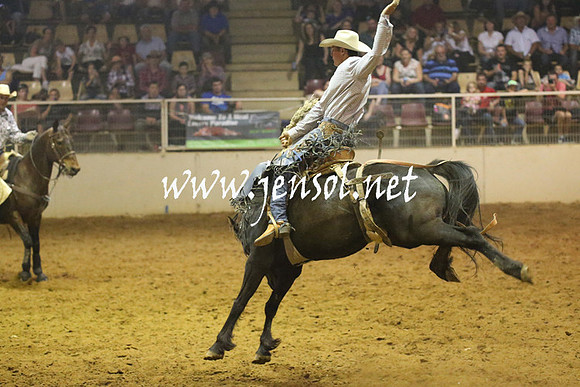 RealDealRodeoNov2013_0828