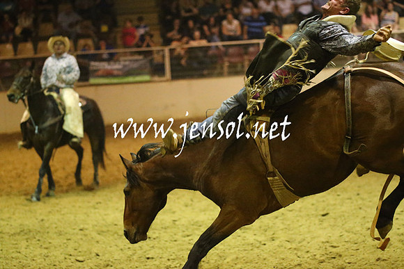 RealDealRodeoNov2013_1809