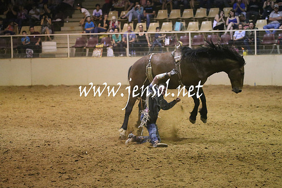 RealDealRodeoNov2013_1846