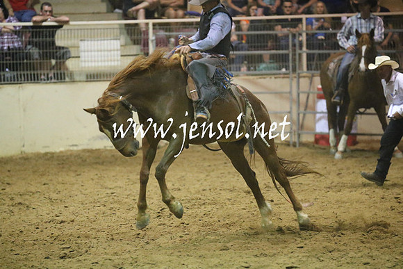 RealDealRodeoNov2013_1669