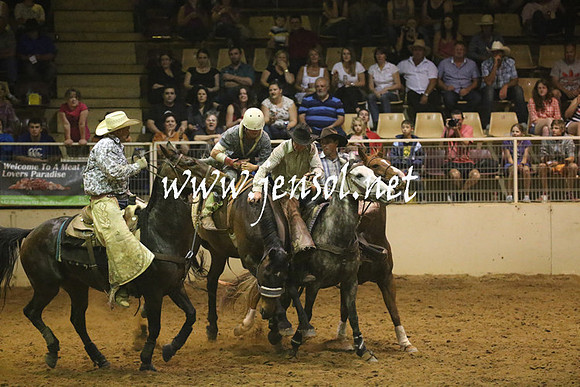 RealDealRodeoNov2013_1785