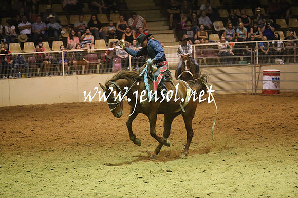 RealDealRodeoNov2013_1627