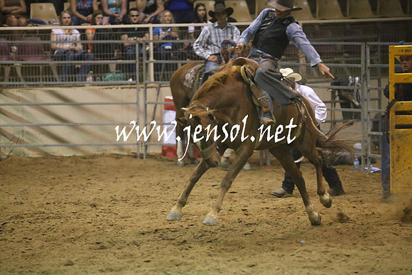 RealDealRodeoNov2013_1665