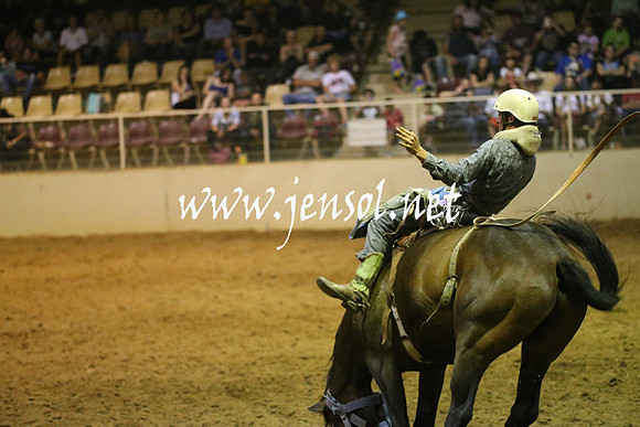 RealDealRodeoNov2013_1772