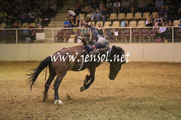 RealDealRodeoNov2013_1839
